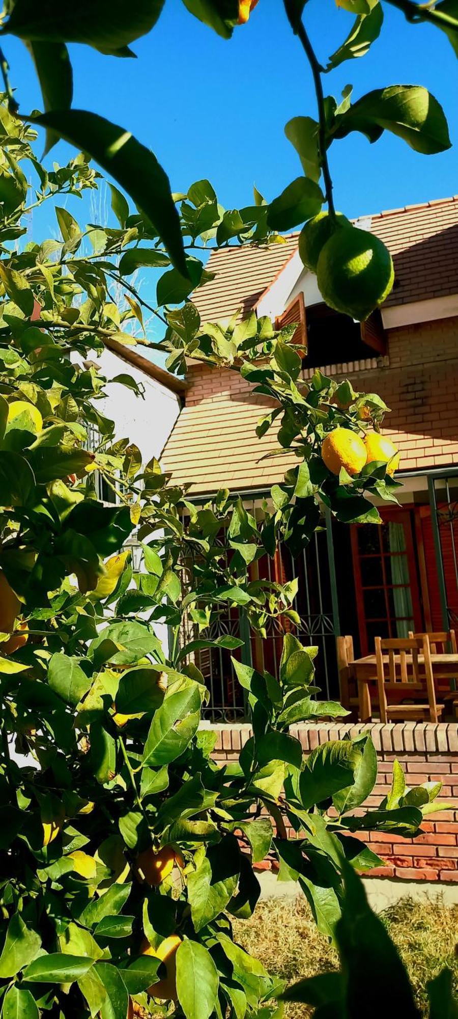 Bed and Breakfast Casa Bravo Mendoza Exterior foto